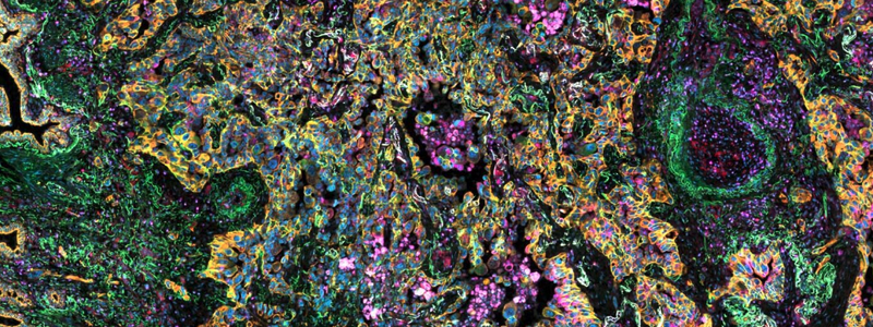 images/02_events/Validating%20AI.png#joomlaImage://local-images/02_events/Validating AI.png?width=800&height=300