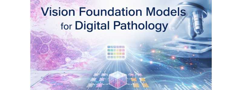 images/02_events/VisonFoundation.jpg#joomlaImage://local-images/02_events/VisonFoundation.jpg?width=800&height=300